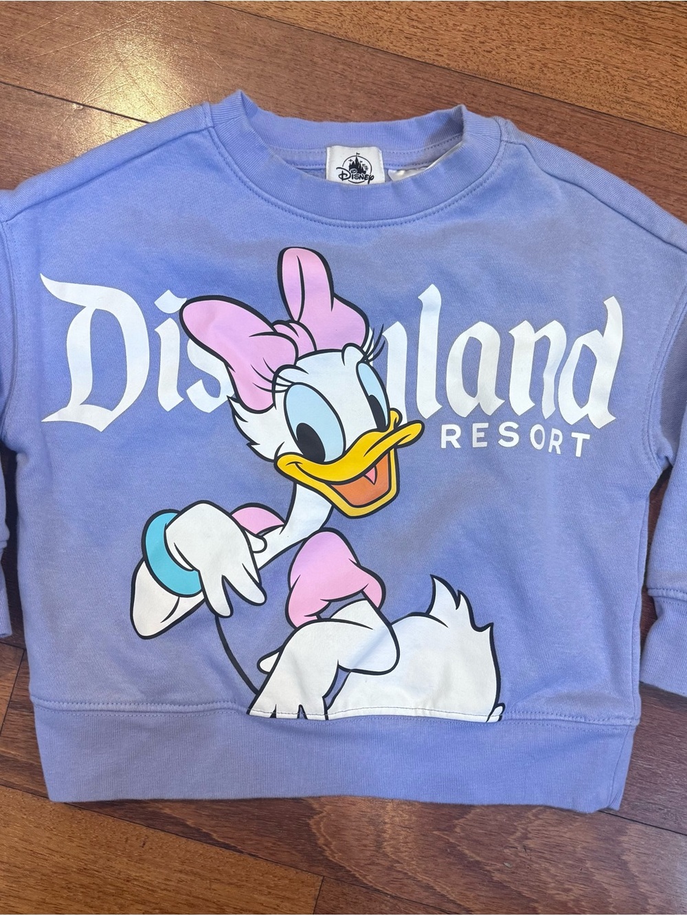Disneyland Resort Daisy Duck
Sweatshirt Pullover Purple
